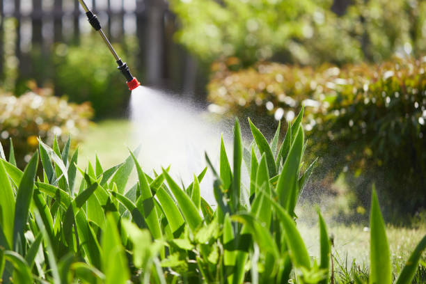 24/7 Emergency Mosquito Control experts in Waverly, IA